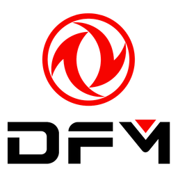 DFM