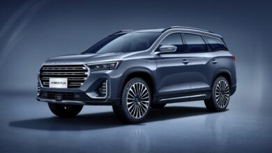 جيتور القصراوي