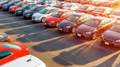 cars-of-egyptians-abroad-initiative-updates