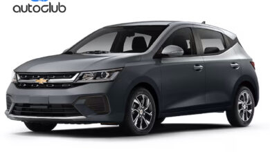 egypt-compulsory-insurance-november-vehicles-Egyptian Compulsory Insurance