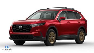 سعر-ومواصفات-هوندا-cr-v-في-2024