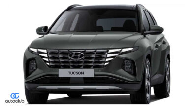 egypt-car-market-report-january-2024