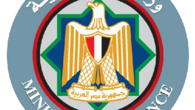 egypt-car-import-initiative-25k-vehicles-released-abroad