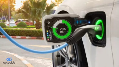 Egyptian-Emirati Collaboration Bolsters Electric Car Industry Localization