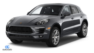 cairo-airport-auction-imported-cars-may-14