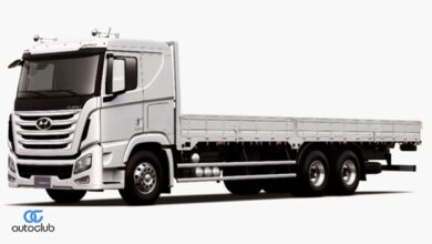 أميك - مبيعات الشاحنات المحلية - 2024