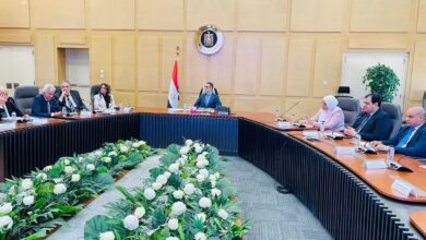 وزير- الاستثمار- وسياسات- قطاع- السيارات -في- مصر