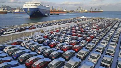 egypt-auto-imports-october-2024